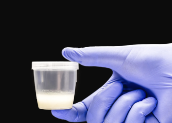 Australian woman, 62, wins legal battle to have sperm removed from her dead husband