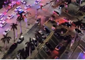 Were aliens spotted at Miami Mall? Here’s the truth