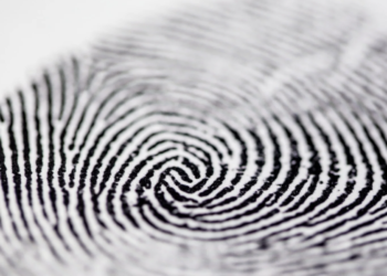AI study suggests fingerprints may not be as unique as once thought