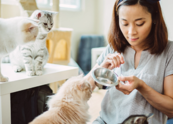 China woman leaves her dogs and cats a $2.8 million fortune but nothing for the kids