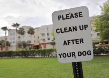“Find and fine”: A province in Italy mandates DNA testing for all dogs to track down owners who fail to pick up their poop