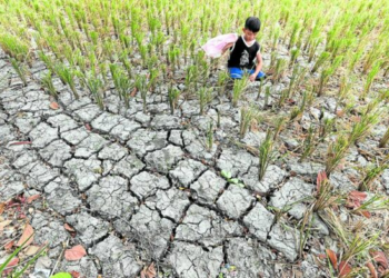 El Nino’s impact: 2024 could surpass record heat in 2023