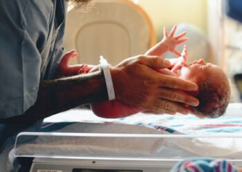 The world’s first partial heart transplant develops arteries and valves