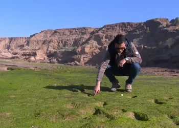 Scientists find 90,000-year-old human footprints on a beach in Morocco- Here’s what it suggests