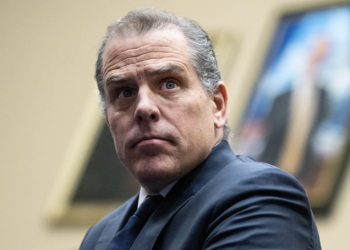 Russian intelligence was involved in spreading fake information about Hunter Biden, Alexander Smirnov told the FBI