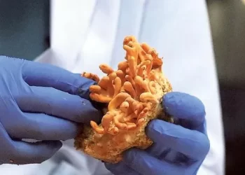 Indian scientists produce gold nanoparticles from mushrooms