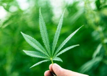 Ukraine has legalized the use of medical cannabis; the change will take effect in six months