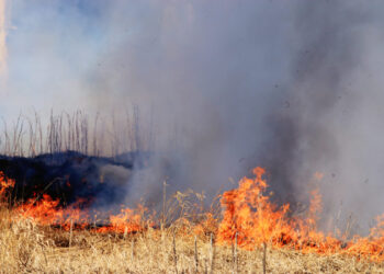 Texas is still blazing; a catastrophic wildfire has destroyed more than 500 structures and claimed two lives