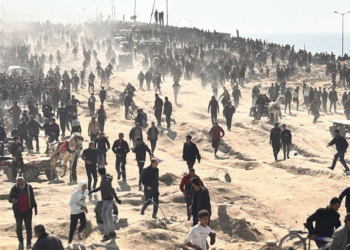 Flour massacre: How did the Gaza food killings happen?