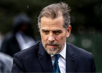 Hunter Biden transcript released following impeachment testimony