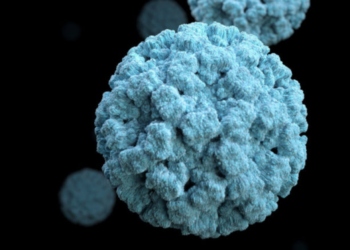 What is norovirus? Symptoms, causes, and treatment amid outbreak in US