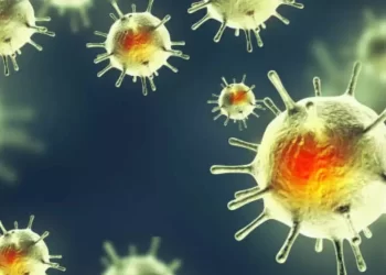 Humans spread more viruses to animals than they give us: Study