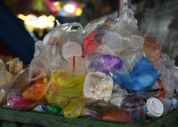 EU to ban single-use plastics in restaurants by 2030