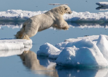 Arctic’s first ice-free summer day predicted within a decade, study reveals