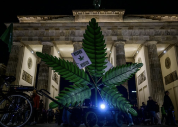 Germany makes recreational marijuana legal – Adults can now cultivate up to three plants and carry 25 grams of dried cannabis