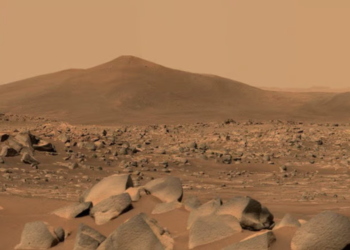 Thousands of unusual white rocks found on Mars by NASA’s Perseverance rover 