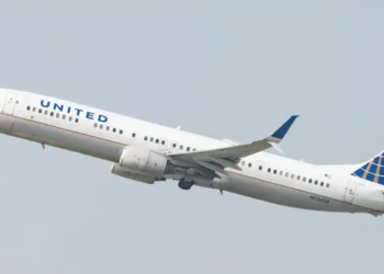 Seattle-bound flight diverted after dog poops in aisle