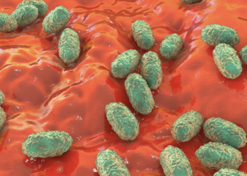 Deadly whooping cough outbreak and deaths reported in China and several other countries: Symptoms, causes, and all you need to know