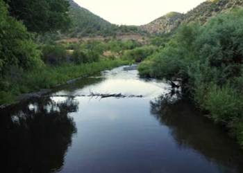 Researchers find high quantities of cancer-causing ‘forever chemicals’ in water sources around New Mexico