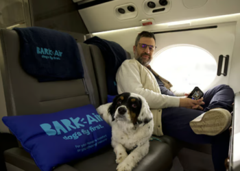 What is BARK Air? The world’s first doggy jet service to offer a VIP experience for dogs