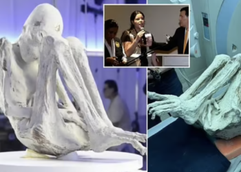 Peru: ‘Alien mummies’ press conference turns chaotic after ufologist unveils ‘pregnant’ specimen