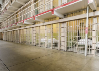 US prisons became hotbeds of COVID infection and death: Study