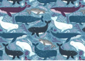 What is the Blue Whale Challenge? Online game behind University of Massachusetts student’s death