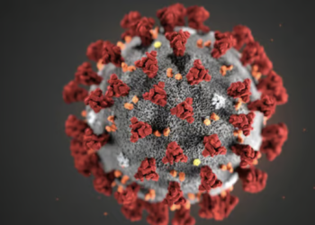 72-year-old succumbs after record 613 days with COVID; virus mutated over 50 times