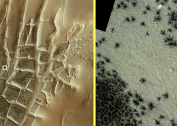 New satellite photos reveal hundreds of black ‘spiders’ like formations in mysterious ‘Inca City’ on Mars