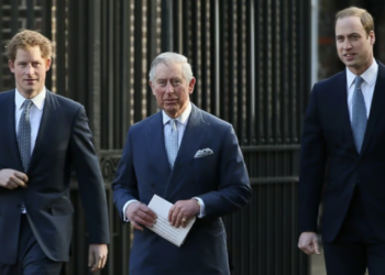 Prince Harry and William ‘likely’ to reunite and King Charles to ‘play peacemaker’: Report