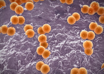 CDC Alert: Meningococcal infections on the rise in US: Check the symptoms