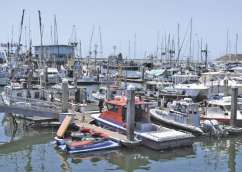 Salmon fishing has been banned off the California coast for the second consecutive year – Here’s why