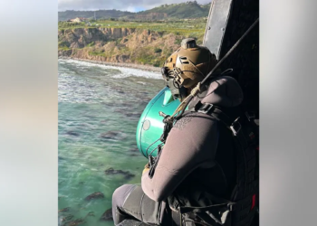 Pilot and dog swim to the shore after surviving plane crash off California coast