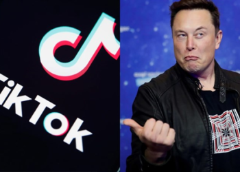 “TikTok should not be banned in the US”: Elon Musk
