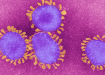 Two new COVID variants called FLiRT are spreading across the US- Symptoms, risks, and all you need to know