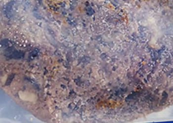 Space cookie baked on ISS 4 years ago still maintains freshness. Here’s how