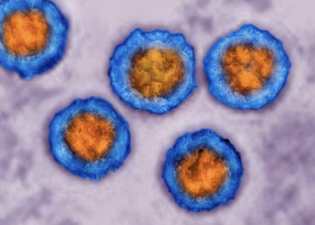 Scientists attempt to recreate 50,000-year-old ancient ‘herpes’ viruses