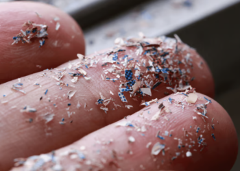 Microplastics detected in blood clots linked to heart attacks and strokes