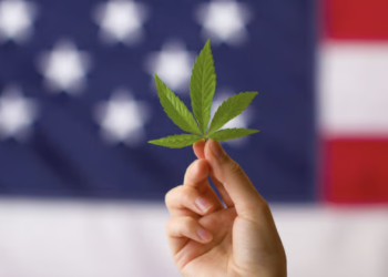 Historic shift: Daily marijuana use overtakes daily drinking for the first time in the US
