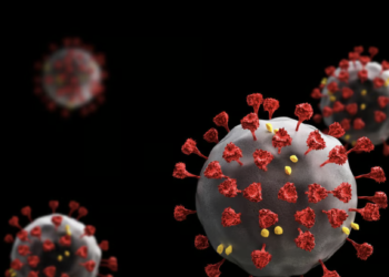 Global life expectancy dropped by 2 years due to COVID: WHO