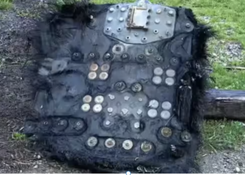Mysterious space object found in North Carolina mountains