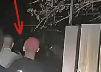 Alleged alien sighting in Las Vegas involved ‘cloaking device’: Expert