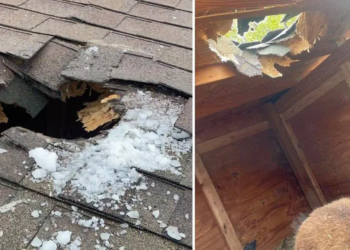 Ice chunk falls from plane, kills pet goat in Utah
