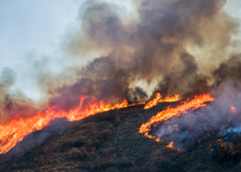 Breezy Explainer: How climate change has forced the US to change policy