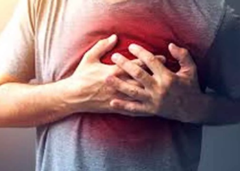 1 in 3 people die of heart disease due to buildup of fats, and cholesterol: Study