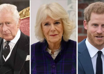 Queen Camilla has laid down rules for Prince Harry’s meeting with King Charles