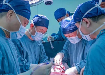 Breakthrough: First-ever gene-edited pig liver transplanted into liver cancer patient in China