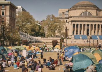 Ivy League loses favor as employers prioritize skills over activism