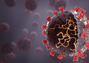 New COVID variant KP.3 becomes dominant strain, CDC reports- All you need to know about it