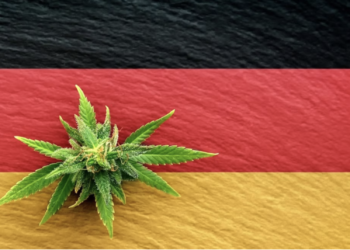 Germany approves limited cannabis use before driving, faces criticism